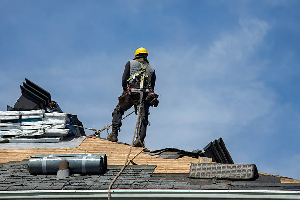 Professional Gutter Installation technician working in Newnan, GA